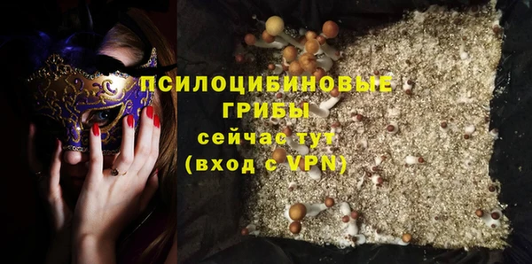 ПСИЛОЦИБИНОВЫЕ ГРИБЫ Абинск