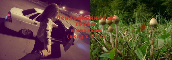ПСИЛОЦИБИНОВЫЕ ГРИБЫ Абинск