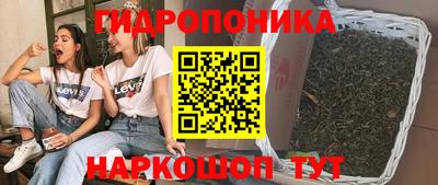 PSILOCYBIN Мариинск