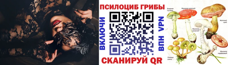 МЕГА ТОР  Дятьково  Галлюциногенные грибы мухоморы 