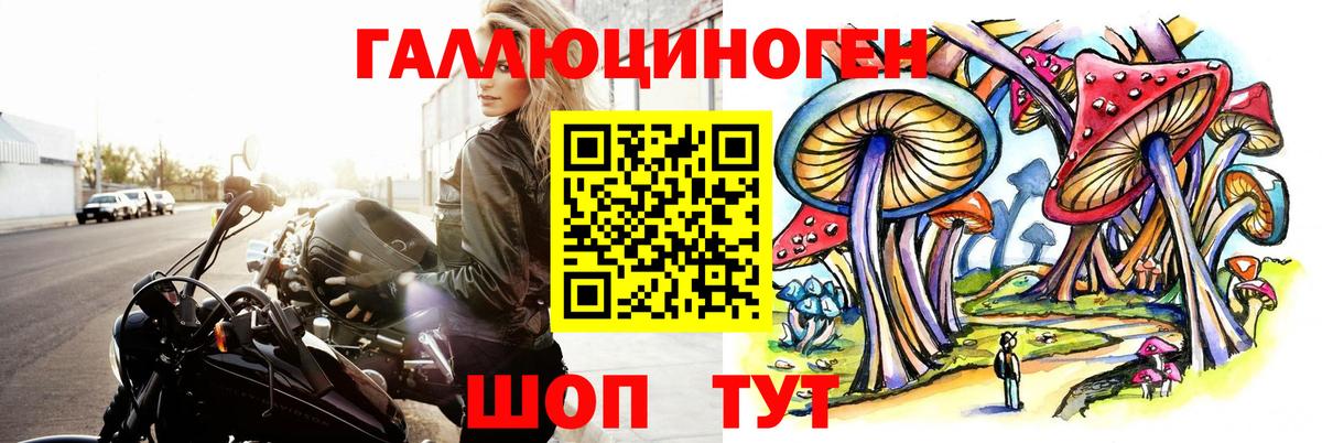 Псилоцибиновые грибы мицелий Дятьково