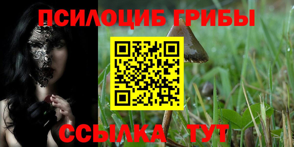 Псилоцибиновые грибы Cubensis  Вход с VPN  Дятьково 